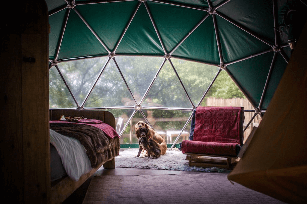 Cosy under Canvas in Wales